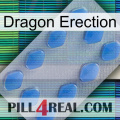 Dragon Erection 21